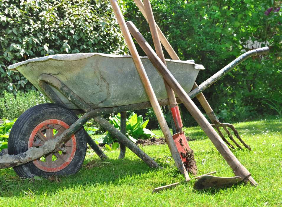 How to Help Plants Grow Faster and Healthier