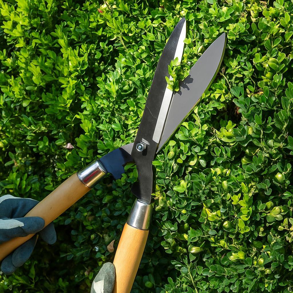 Ps Ricca Heavy Hedge Shear