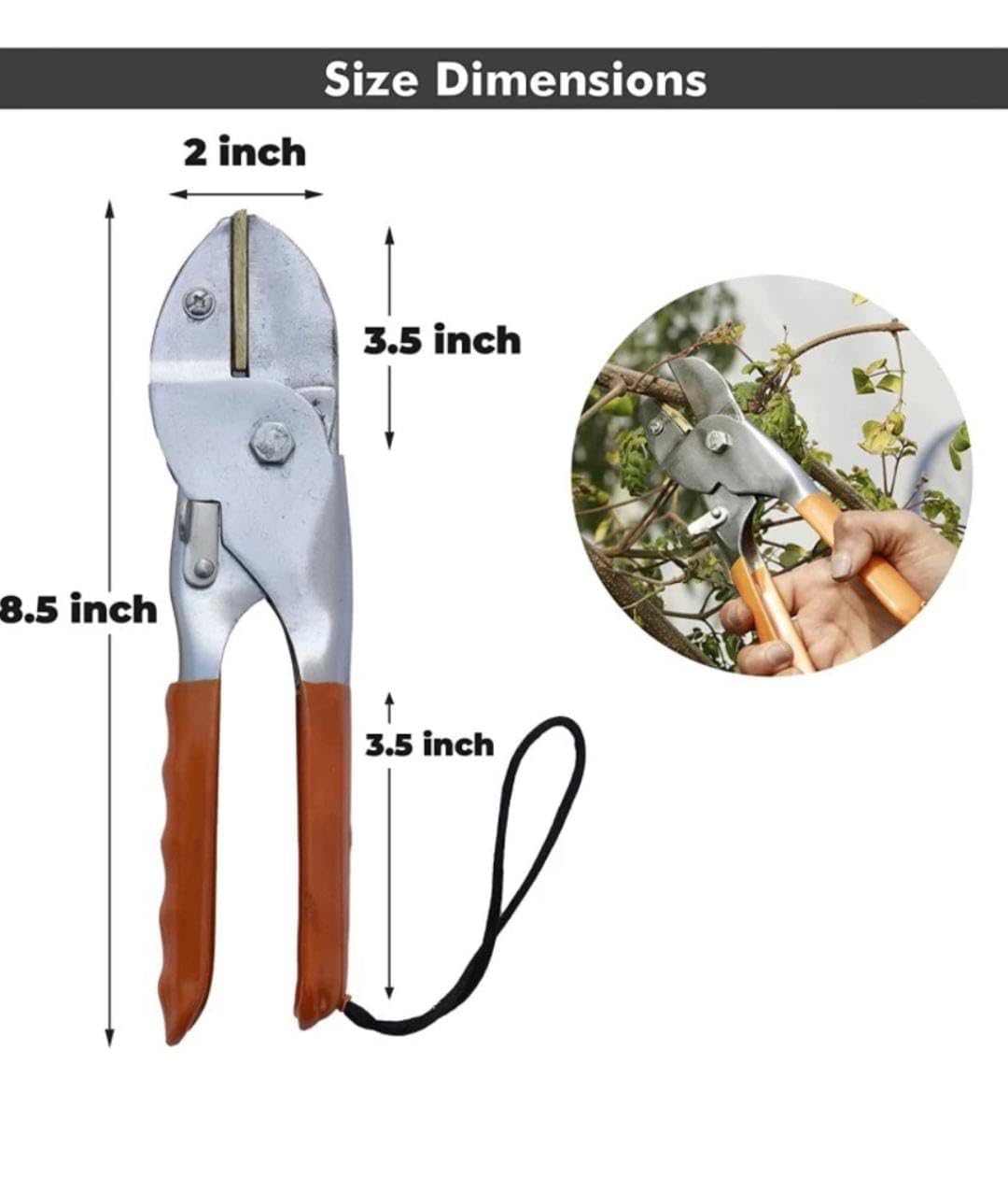 Ps Ricca Flower Cutter, Roll Cutter & Scissor”