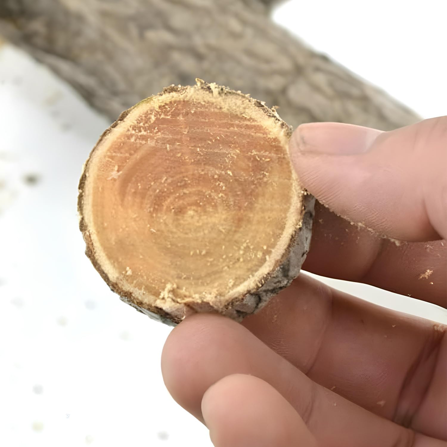 Ps Ricca Tree Pruning Saw