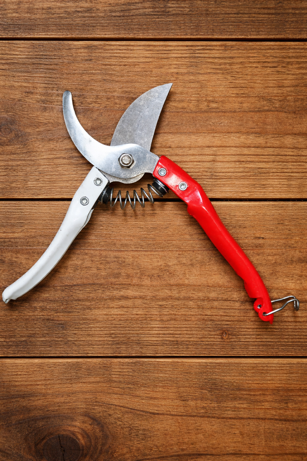 Ps Ricca ProCut Hand Pruner