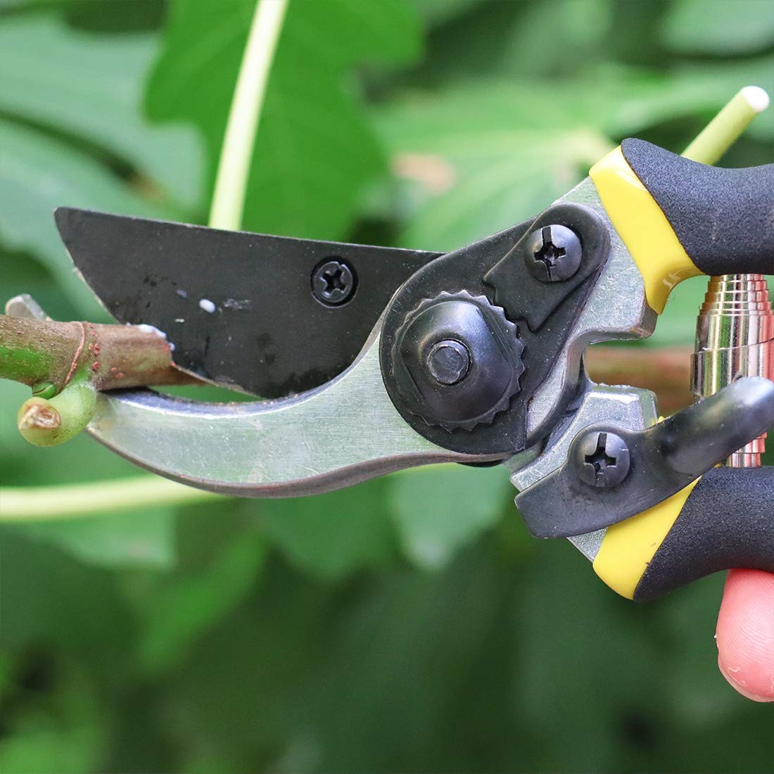 Ps Ricca Garden Secateurs