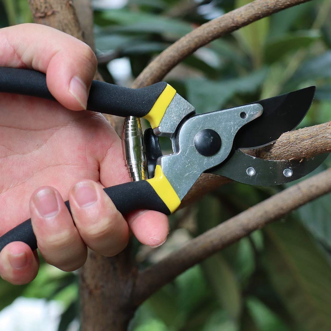 Ps Ricca Garden Secateurs