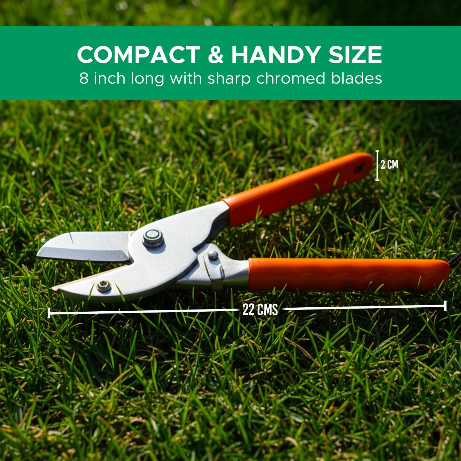 Ps Ricca Pruning Shears