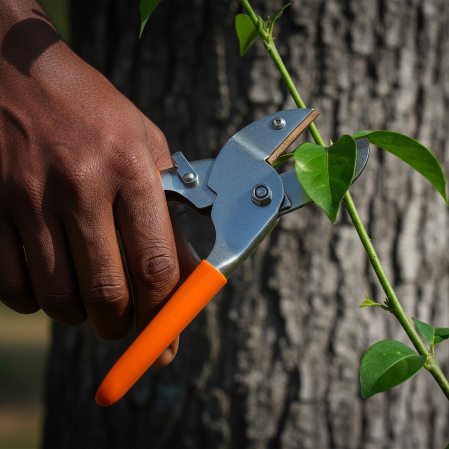 Ps Ricca Pruning Shears