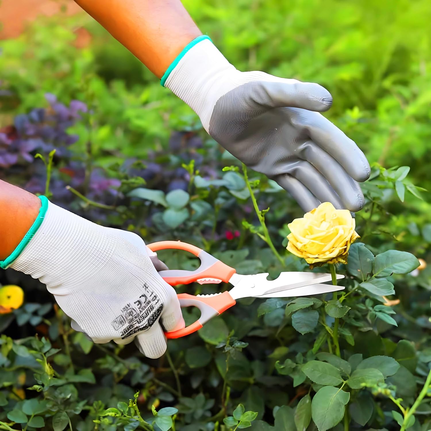 Ps Ricca Flower Cutter, Roll Cutter & Scissor”